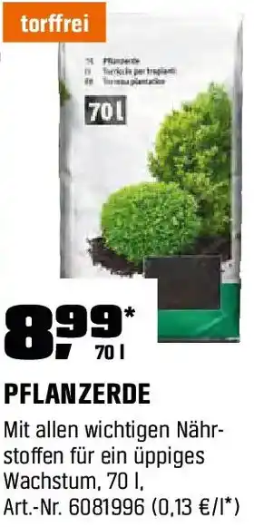 OBI Pflanzerde Angebot