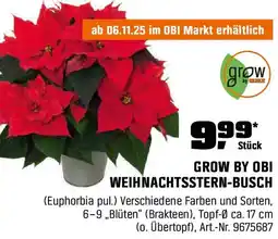 OBI Grow by obi weihnachtsstern-busch Angebot