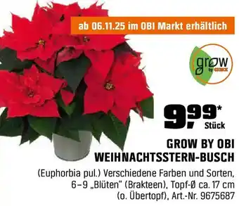 OBI Grow by obi weihnachtsstern-busch Angebot