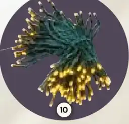 BayWa LED Lichterkette Angebot