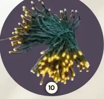 BayWa LED Lichterkette Angebot