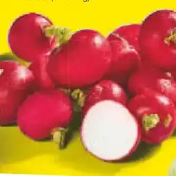 Netto Marken-Discount MarktTag Snackradieschen Angebot