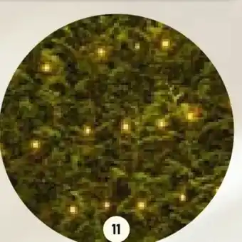 BayWa LED-Lichternetz Angebot