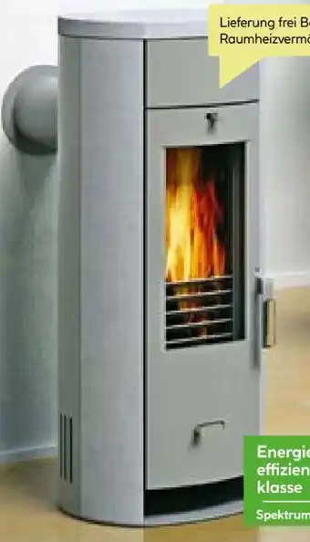 BayWa Kaminofen Alaska 2.0 Angebot