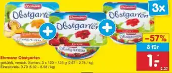Netto Marken-Discount Ehrmann Obstgarten Erdbeere Angebot