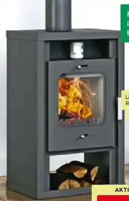 BayWa Kaminofen Katharina Angebot