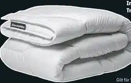 Lidl Dunlopillo Komfortgröße Angebot