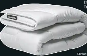 Lidl Dunlopillo Komfortgröße Angebot