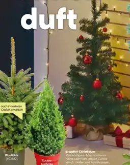 BayWa Christbaum Angebot
