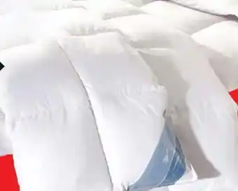 Lidl Häussling Daunen-Kassettenbettdecke Angebot