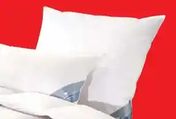 Lidl Häussling Premium Kopfkissen Angebot