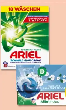 PENNY Ariel Universalwaschmittel Pulver Angebot