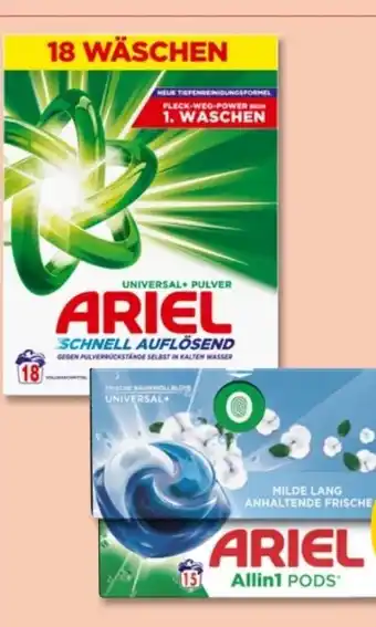 PENNY Ariel Universalwaschmittel Pulver Angebot
