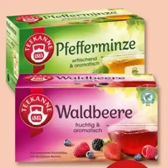 PENNY Teekanne Kräutertee Pfefferminze Angebot