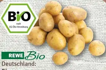 nahkauf Rewe Bio Bio-Speisekartoffeln Angebot