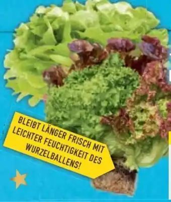 E-Center Ballensalat Trio Mix Angebot