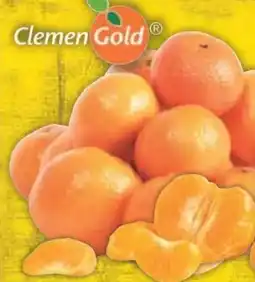 E-Center Clemen Gold Mandarinen Nadorcott Angebot