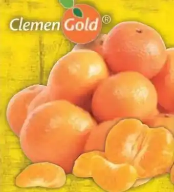 E-Center Clemen Gold Mandarinen Nadorcott Angebot