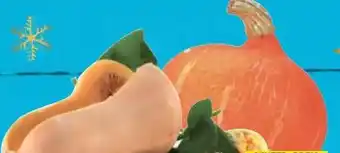 E-Center Speisekürbis Butternut Angebot