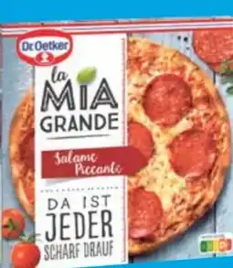 E-Center Dr. Oetker Pizza La Mia Grande Angebot