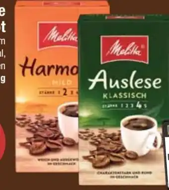 E-Center Melitta Kaffee Auslese Angebot