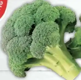 E-Center Gut & Günstig Brokkoli Angebot