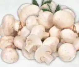 E-Center Gut & Günstig Frische Champignons Angebot