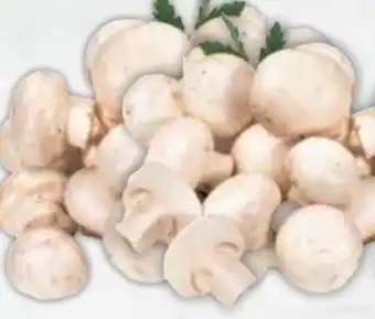 E-Center Gut & Günstig Frische Champignons Angebot