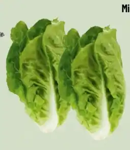 Edeka Xpress Edeka Herzstücke Mini Romanasalat Angebot