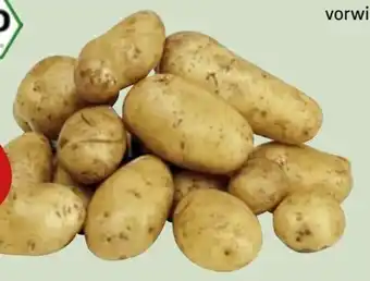 Edeka Xpress Bio Kartoffeln Angebot