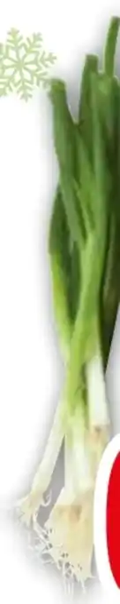 Edeka Lauchzwiebeln Angebot