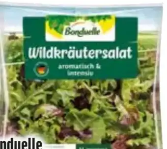 Edeka Bonduelle Salatmischung Wildkräutersalat Angebot