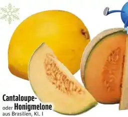 Edeka Cantaloupemelone Angebot