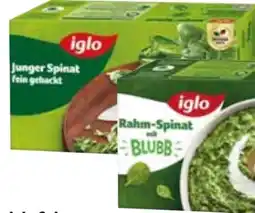 Edeka Iglo Junger Spinat Angebot