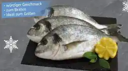 Edeka Dorade Royale Angebot