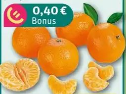 REWE Center Rewe Bio Clementinen Angebot