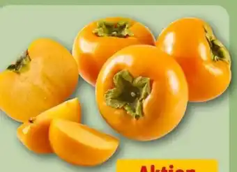 REWE Center Kaki Rojo Brillante Angebot