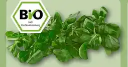 REWE Center Rewe Bio Feldsalat Angebot