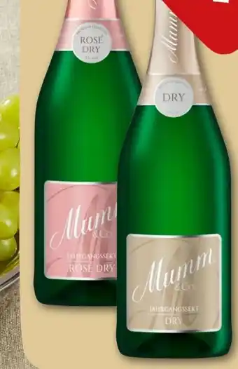 REWE Center Mumm & Co. Jahrgangssekt Angebot