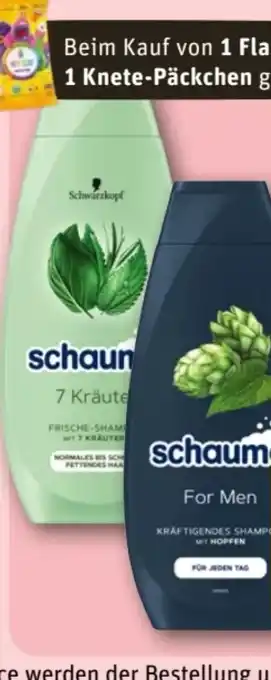 REWE Center Schwarzkopf Schauma Shampoo Angebot
