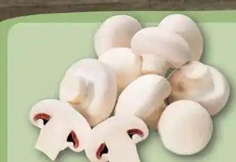 REWE Champignons Angebot