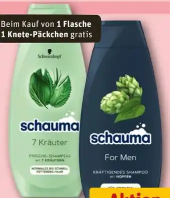REWE Schwarzkopf Schauma Shampoo Angebot