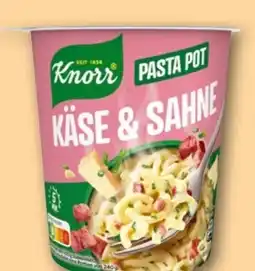 REWE Knorr Pasta Pot Käse & Sahne Angebot