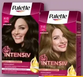 REWE Center Poly Palette Intensiv Creme Coloration Angebot