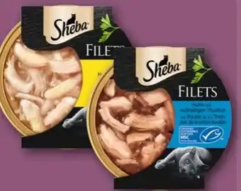 REWE Center Sheba Katzennassfutter Angebot