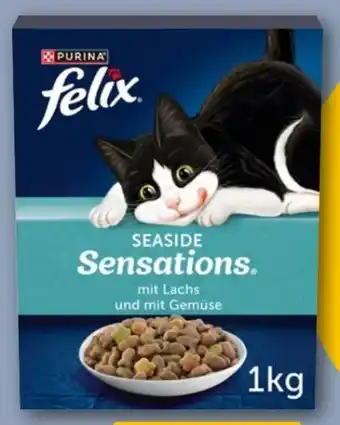 REWE Center Purina Felix Sensations Katzentrockennahrung Angebot