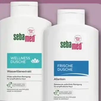 REWE Center Sebamed Duschgel Angebot