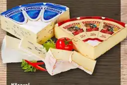 REWE Käserei Champignon Cambozola Angebot