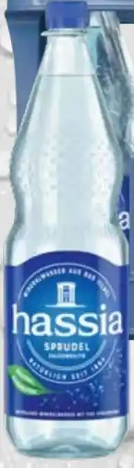 trinkgut Hassia Mineralwasser Angebot