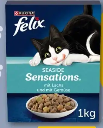 REWE Purina Felix Sensations Katzentrockennahrung Angebot